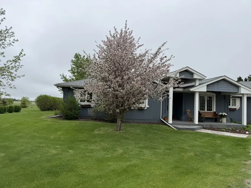 The slate-blue front of the house with white porch columns, a green lawn and a crabapple tree in pink blossom.